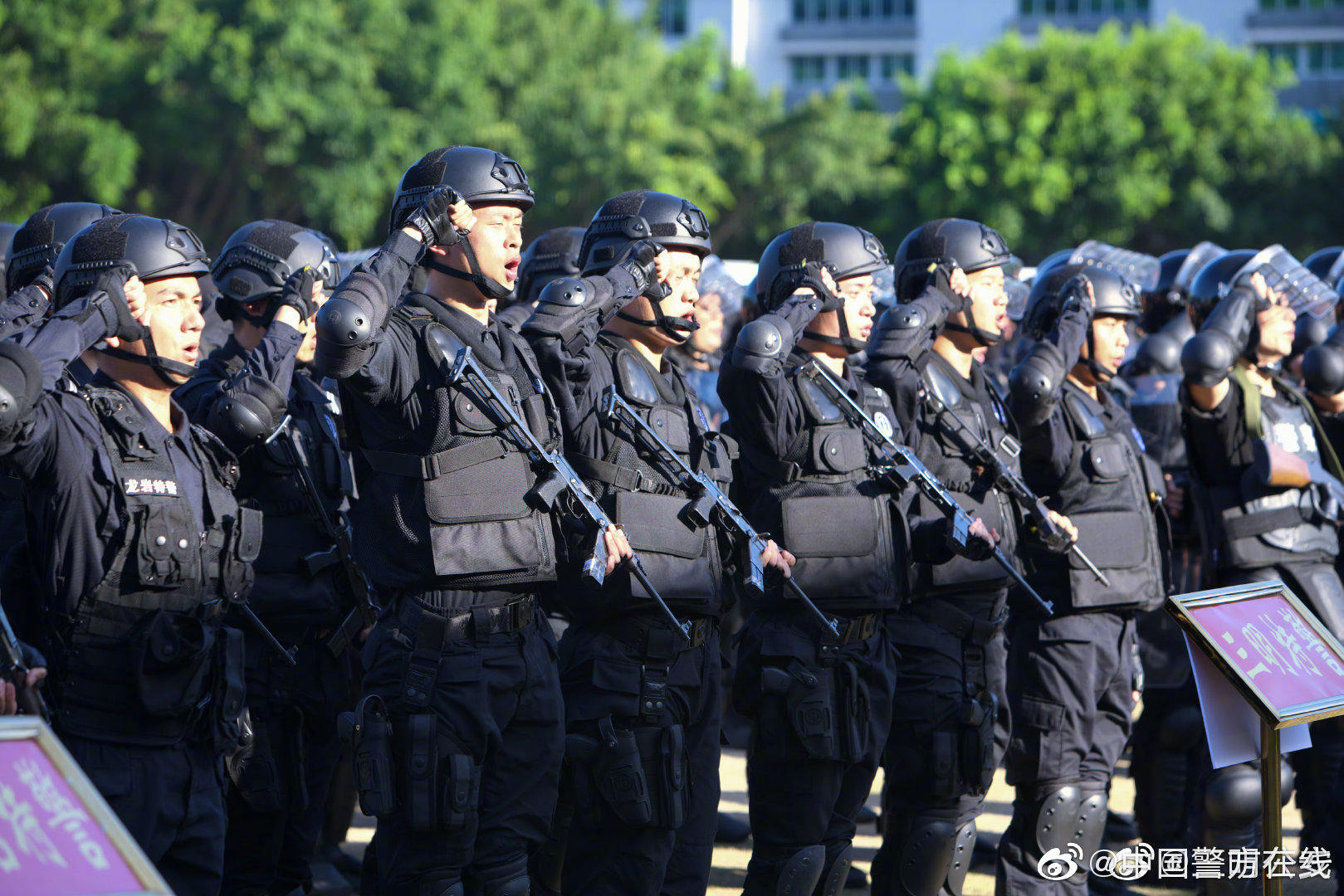 夜幕下的對話：探秘中國人民武裝警察部隊(duì)特種警察學(xué)院難考嗎的真相