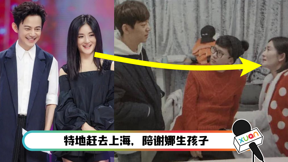 謝娜生了幾個(gè)寶寶是男是女？深度解析其幸福家庭的秘密與育兒點(diǎn)滴
