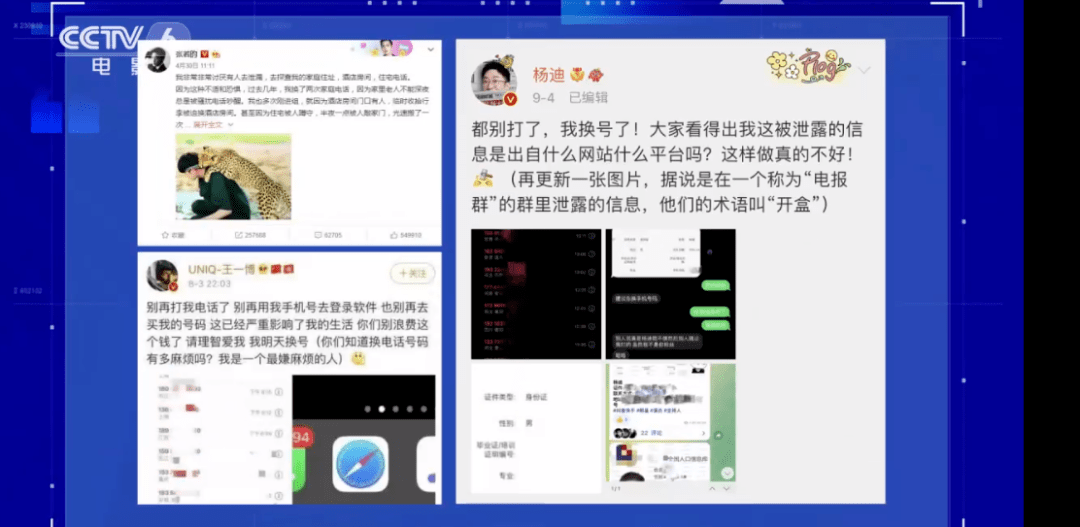 深度解析：趙子琪的爺爺是誰？探究公眾人物家庭信息背后的隱私與求知欲