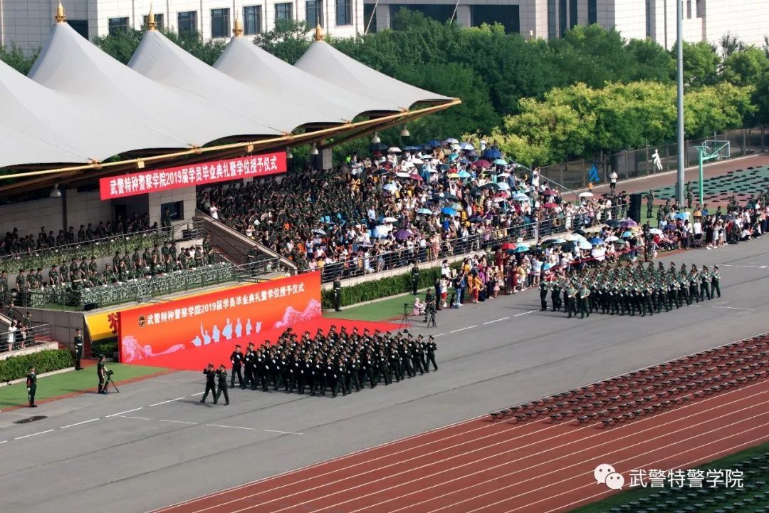 街角咖啡館里的思辨：中國人民武裝警察部隊(duì)特種警察學(xué)院出來是公務(wù)人員嗎？