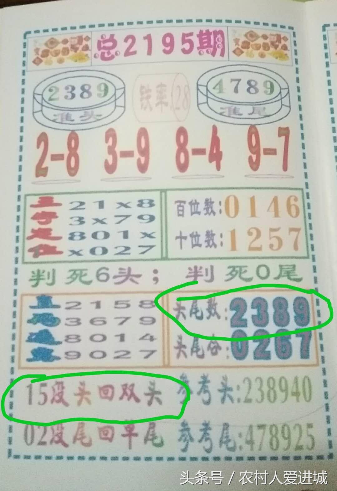 新澳門期期準免費期期準，探索與解析，澳門彩票期期準解析與探索