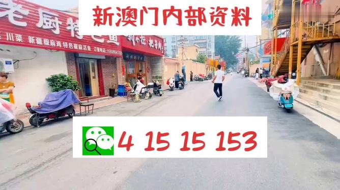 新澳門2025年天天開(kāi)好彩，探索新澳的繁榮與發(fā)展之路，新澳門繁榮與發(fā)展之路，2025年天天開(kāi)好彩展望