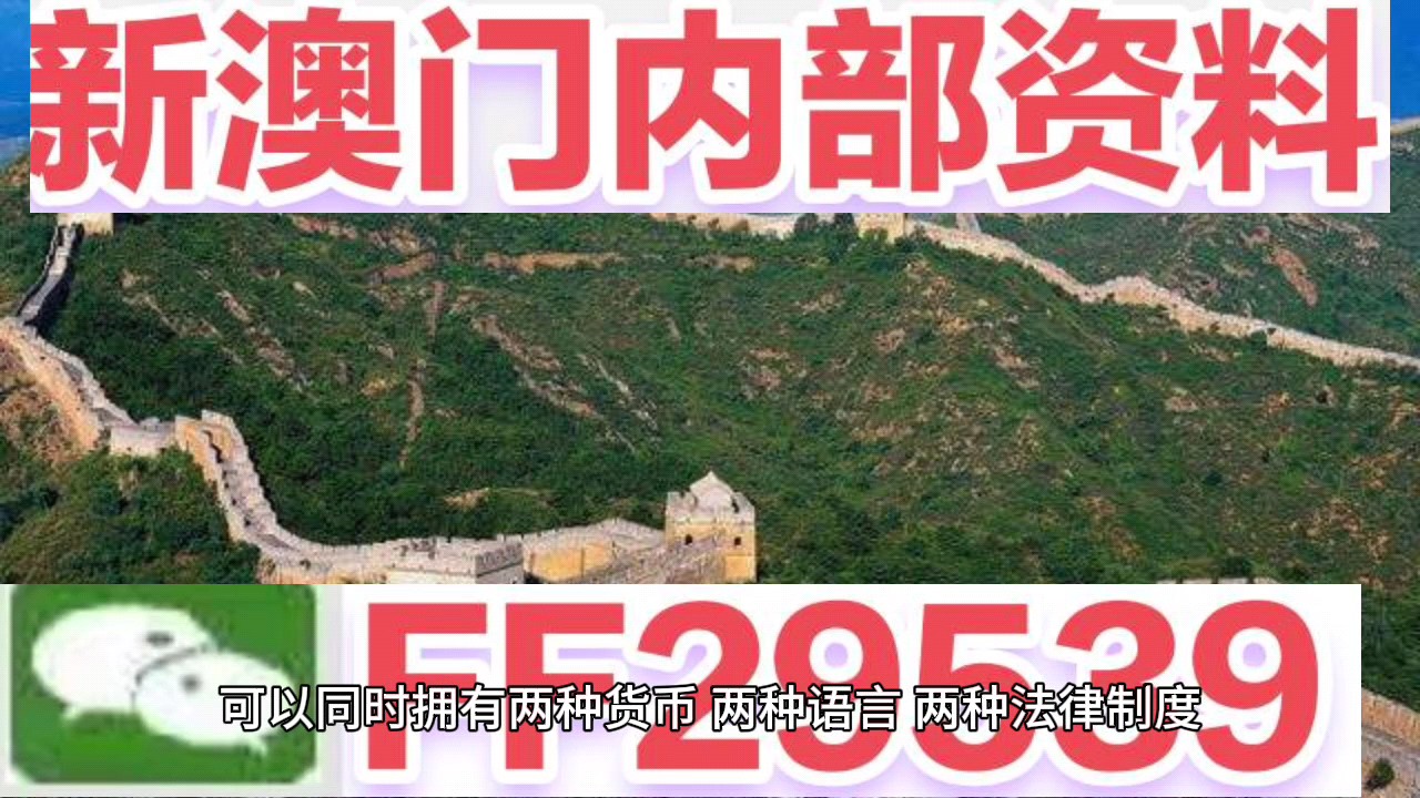 新澳門今晚開獎結(jié)果號碼查詢表，探索彩票世界的神秘面紗，新澳門今晚開獎結(jié)果號碼查詢表，揭開彩票世界的神秘面紗