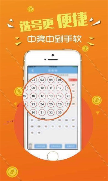 王中王心水論壇，探索智慧之源的聚集地，王中王心水論壇，智慧之源的聚集地探索