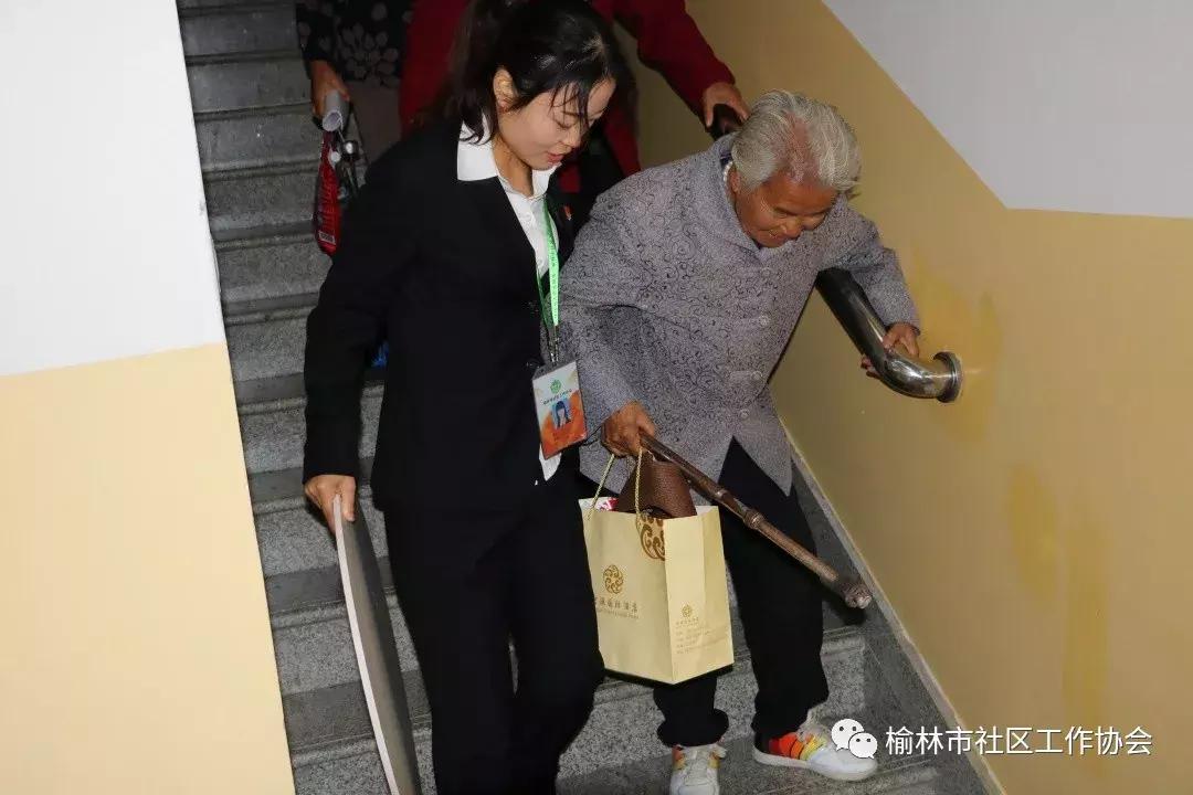 天天免費(fèi)資料彩票大全，探索彩票世界的奧秘與機(jī)遇，天天免費(fèi)資料彩票大全，揭秘彩票世界的奧秘與機(jī)遇