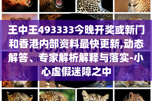 王中王493333中特大全