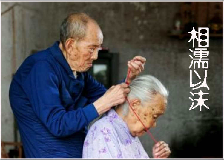 第29頁