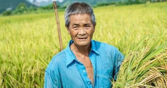 白小姐精準(zhǔn)免費四肖深度解析:透視其信息價值與用戶指南