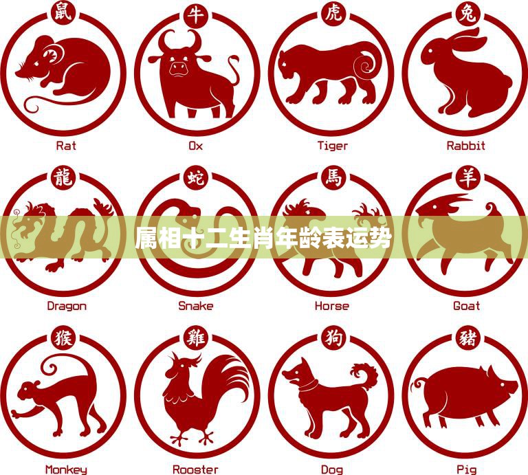 深度解析:探秘“77777888888三肖”的數(shù)字符號與生肖文化關(guān)聯(lián)