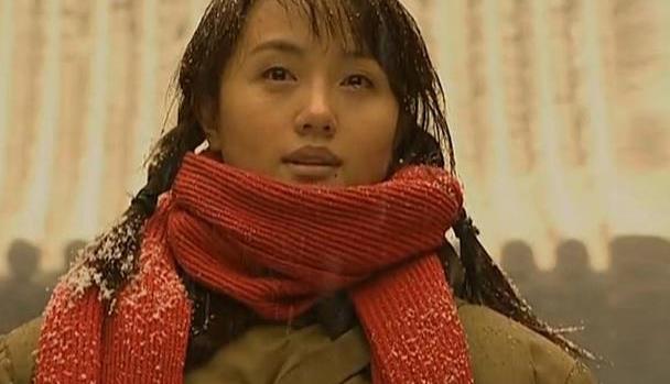 劉莉莉演的電視劇全部：實(shí)力派演員的熒幕生涯全攻略